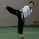 M° Giancarlo Veronese Taekwondo