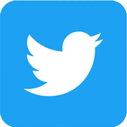 Logo Twitter